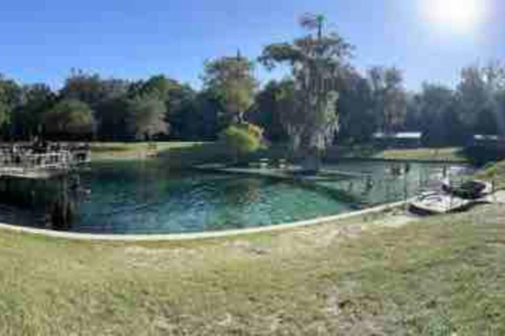 The Botanical Retreat, King Comfort & Poolside Peace Gainesville Extérieur photo
